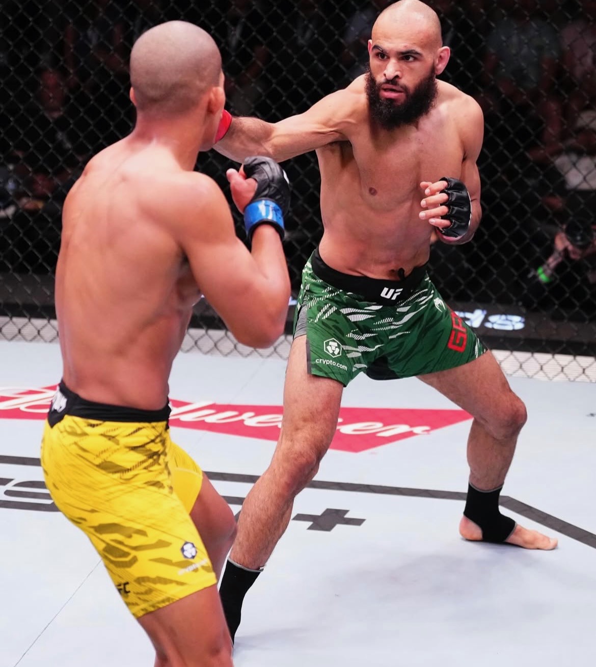 Gabriel Green throwing a punch while pressuring his opponent