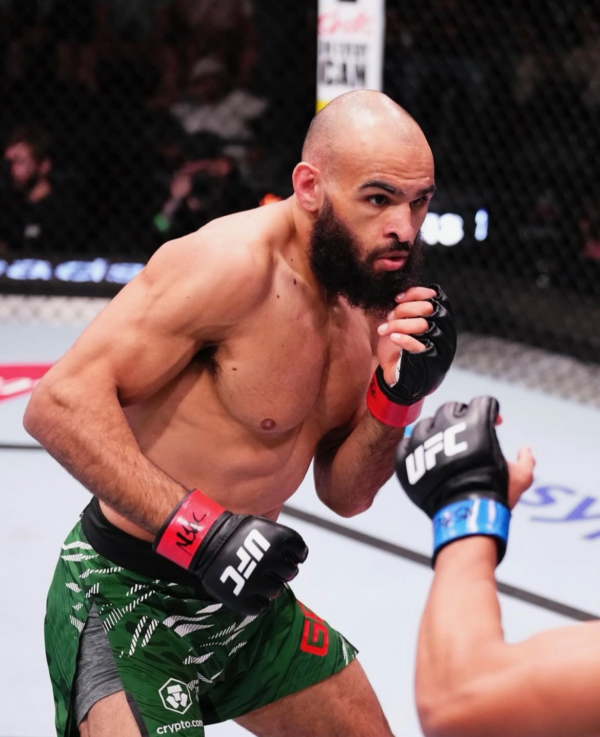 Gabriel Green in a fighting stance inside the Octagon